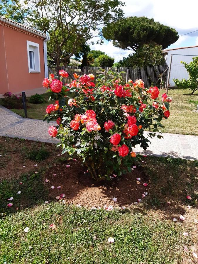 appartement indépendant à 10min des plages au calme proche O'gliss et O'funparken campagne La Jonchere Extérieur photo